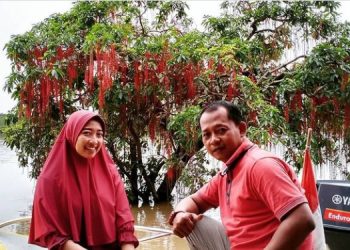 Awal Tahun, Danau Tangkas Suguhkan Pemandangan Bunga Liontin Yang Mempesona