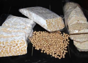 Kedelai Di Borong China, Pedagang Tahu Dan Tempe Mogok