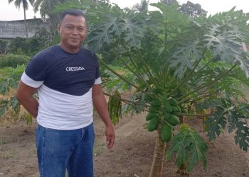 Kapolsek Muara Tembesi Ubah Lahan Terbengkalai Jadi Lahan Produktif