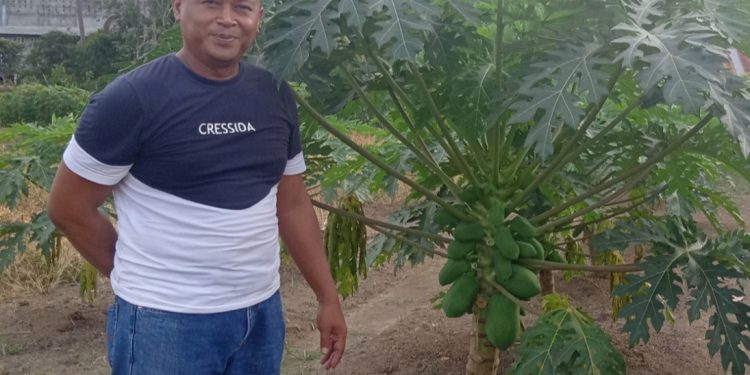 Kapolsek Muara Tembesi Ubah Lahan Terbengkalai Jadi Lahan Produktif