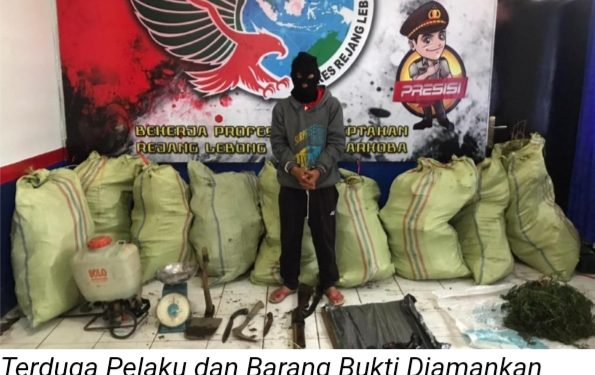 Oknum Guru PNS Ditangkap Polisi Karena Tanam Ganja