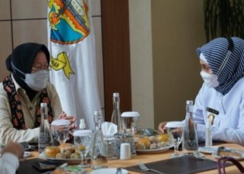 Pj. Gubernur jambi Terima Kunjungan Mensos RI