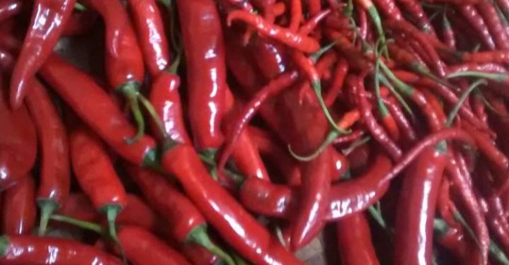 Jelang Ramadhan Harga Cabai Merah di Kota Jambi Turun