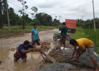 Jalan Provinsi di Mendahara Ulu Tanjabtim Semakin Memprihatinkan