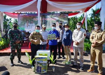 Perkuat Sektor Pertanian, Gubernur Jambi Tanam Pinang di Sadu