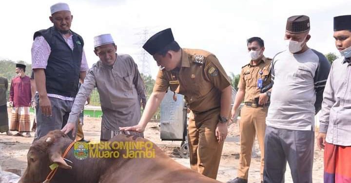 Wabup BBS Serahkan Hewan Kurban ke Ponpes Darul Arifin