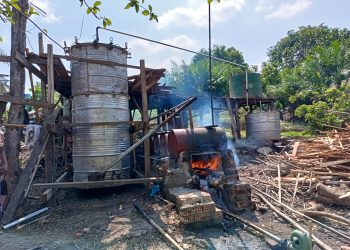 Penyulingan Minyak Sereh Wangi yang “Wangi”nya Mengiurkan