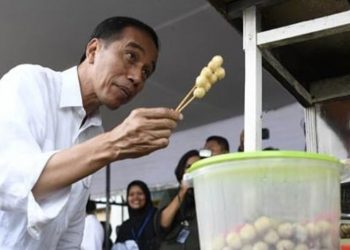 Ubah Statuta UI, Pengamat Juluki Jokowi The Man of Contradiction