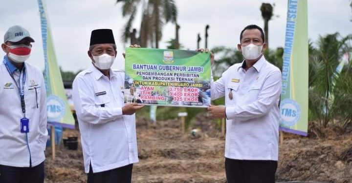 Wagub Jambi Hadiri Penanaman Perdana Program Peremajaan Kelapa Sawit Pola Kemitraan di Sungai Bahar