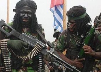 2 Orang Tenaga Kesehatan Jadi Korban KKB Terorisdi Papua