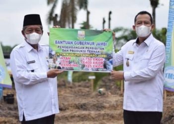 Wabup BBS Dampingi Wagub Abdullah Sani Hadiri Kegiatan Program Peremajaan Sawit Rakyat di Sungai Bahar