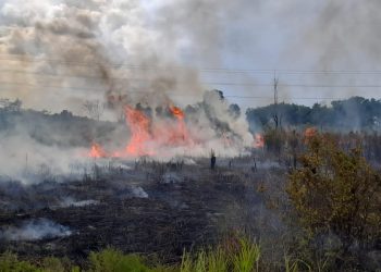 4 Hektar Lahan di Maro Sebo Ludes Terbakar