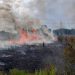 4 Hektar Lahan di Maro Sebo Ludes Terbakar
