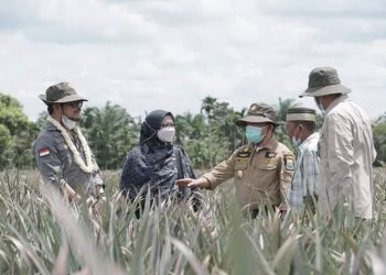 Gubernur Al Haris Pemrov Siap Pengembangan Sektor Pertanian