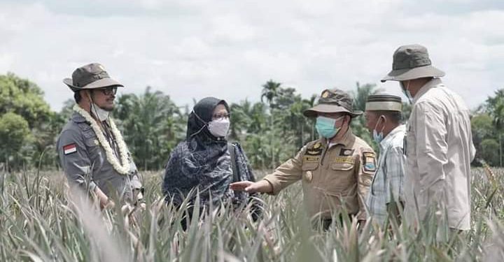 Gubernur Al Haris Pemrov Siap Pengembangan Sektor Pertanian