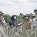 Gubernur Al Haris Pemrov Siap Pengembangan Sektor Pertanian