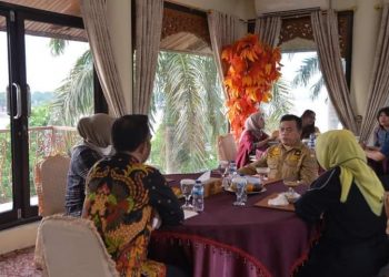 Gubernur Al Haris Terima Audensi Sekretaris Badan Pengembangan dan Informasi Desa Daerah Tertinggal dan Transmingrasi