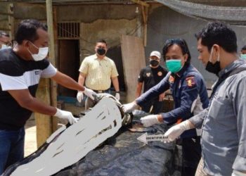 Penemuan Mayat Mengapung Gegerkan Teluk Raya
