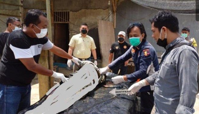 Penemuan Mayat Mengapung Gegerkan Teluk Raya