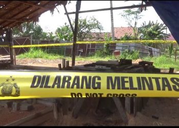 Nekat Beroperasi Tanpa Izin, Enam Usaha Serkel Kayu di Tutup Polres Muarojambi
