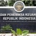 Utang Indonesia Sudah Lebih dari Rp 6.700 Triliun, BPK Ingatkan Pemerintah