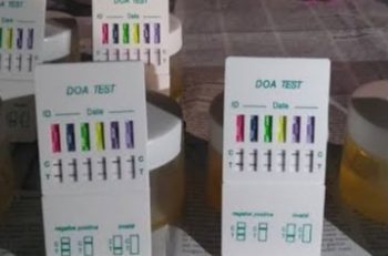 Ditangkap Bersama Wanita Seksi,Hasil Urine Kades Simpang Jelita Positif Narkoba