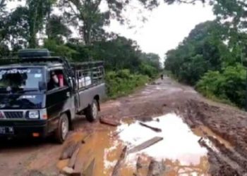 Dinas PUPR Muarojambi Berjanji Perbaiki Jalan Di Maro Sebo Tahun Ini