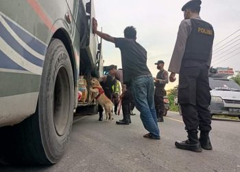 Terbukti Gunakan Narkoba, 2 Sopir Bus ALS Diamankan Tim Gabungan Polda Jambi