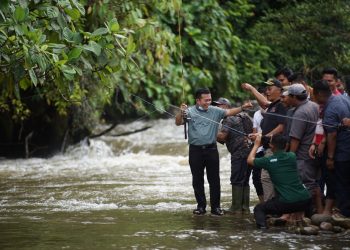 Al Haris: Pemprov Jambi Terus Upayakan Tingkatkan Ekonomi Masyarakat