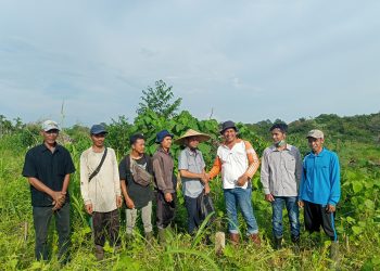 BPN Muarojambi Lakukan Pengukuran Ulang Lahan di Sekumbung
