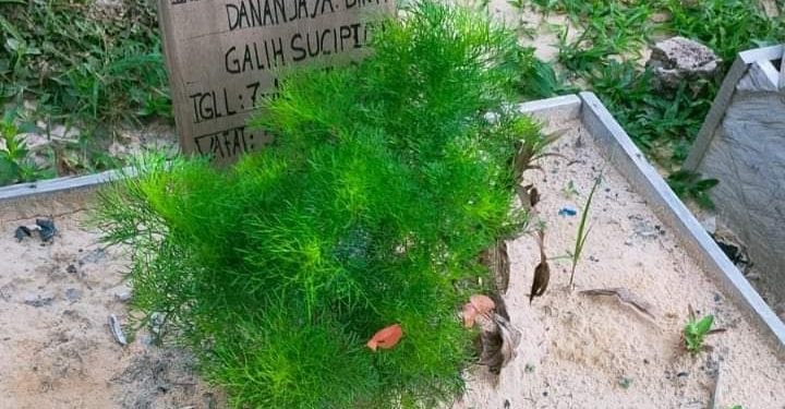 Sedih! Siswi SDIT Diniyah Al Azhar Meninggal, Ternyata Sering di Bullying 
