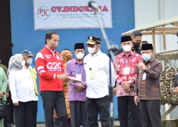 Presiden Jokowi Lepas Ekspor Pinang Biji di Muarojambi