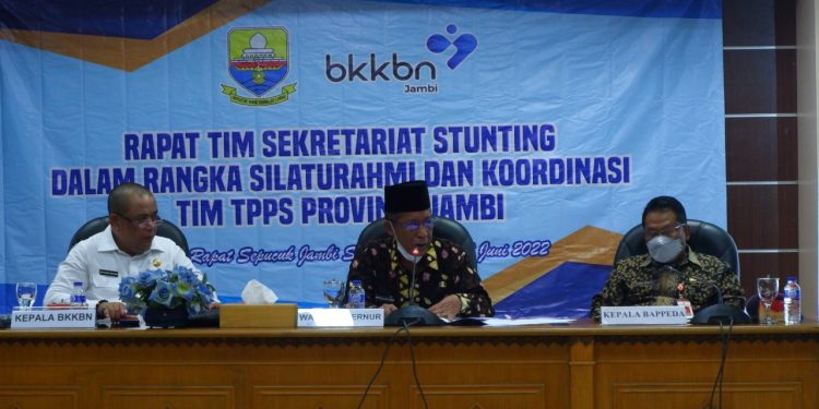 Sani : Sinergitas Penting Dalam Upaya Penurunan Stunting