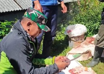 Sertu Yuni Raharso Lakukan Pengecekan Hewan Kurban di Desa Batur
