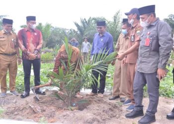 Bupati Muaro Jambi Hadiri Tanam Perdana dan Peremajaan Sawit di Sungai Bahar
