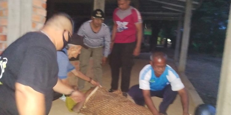 Naas, Warga Payo Selincah Tewas Tersengat Listrik Saat Ambil Buah Sukun