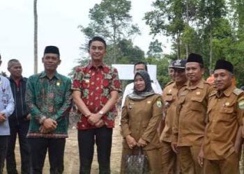 Waka DPRD Muarojambi Ahmad Haikal S.IP Ikut Panen Cabe di Desa Suka Maju 