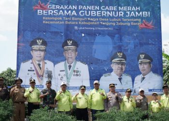 Al Haris: Panen Cabai Momentum Pembangunan Pertanian 