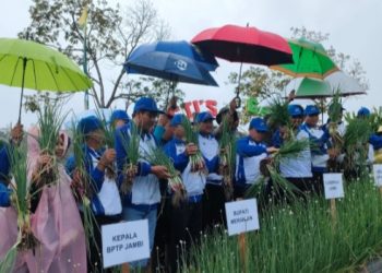 Gubernur Al Haris Hadiri Hari Krida Pertanian ke-50 di Jangkat