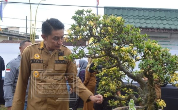 Pj Bupati Muaro Jambi Buka Kontes dan Pameran Bonsai PPBI – CMJ Ranting Sekernan