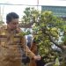 Pj Bupati Muaro Jambi Buka Kontes dan Pameran Bonsai PPBI – CMJ Ranting Sekernan