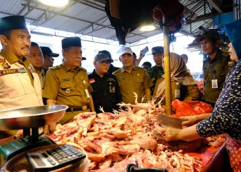 Jelang Lebaran, Wagub Sani Sidak Pasar, Pastikan Harga Bahan Pokok Stabil dan Stok Aman