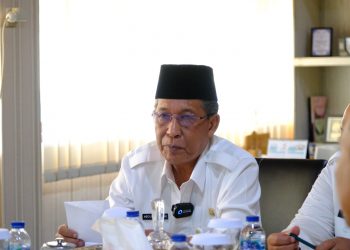 Wagub Abdullah Sani : TPPS Kerja Nyata Tangani Masalah Stunting di Provinsi Jambi 