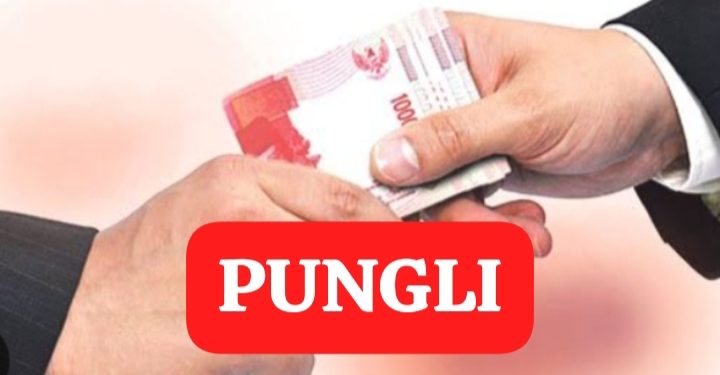 Oknum Perangkat Desa Diduga Lakukan Pungli Proses Pemekaran Desa di Sungai Gelam 