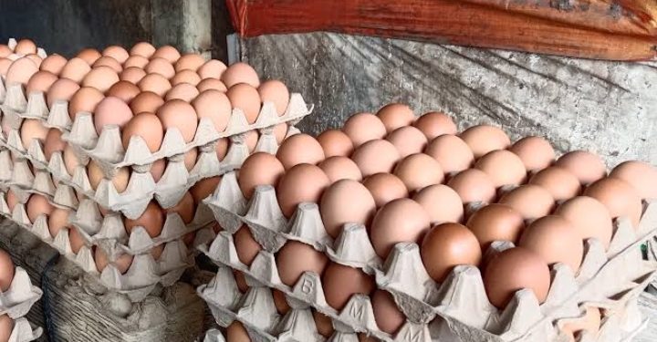 HARGA TELUR AYAM DI PASAR SENGETI MELAMBUNG