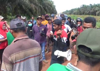 Berkonflik dengan PT. PHL, Warga Desa Petanang Minta Bantuan Presiden Jokowi dan Menkopolhukam Mahfud MD 