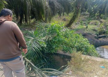 Lubang Jembatan di Muaro Jambi Nyaris Renggut Nyawa Siswi SD