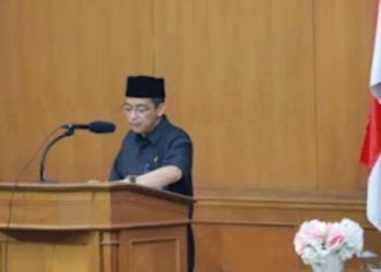 Usman Halik Minta Pemerintah Segera Atasi Penataan Pegawai Honorer dan Non ASN
