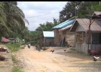 Miris, Puluhan Tahun Warga Sialang Pungguk Tanpa Penerangan Listrik PLN