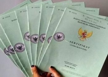 Ribuan Sertifikat Di Kabupaten Tebo Terindikasi Di Kawasan Hutan